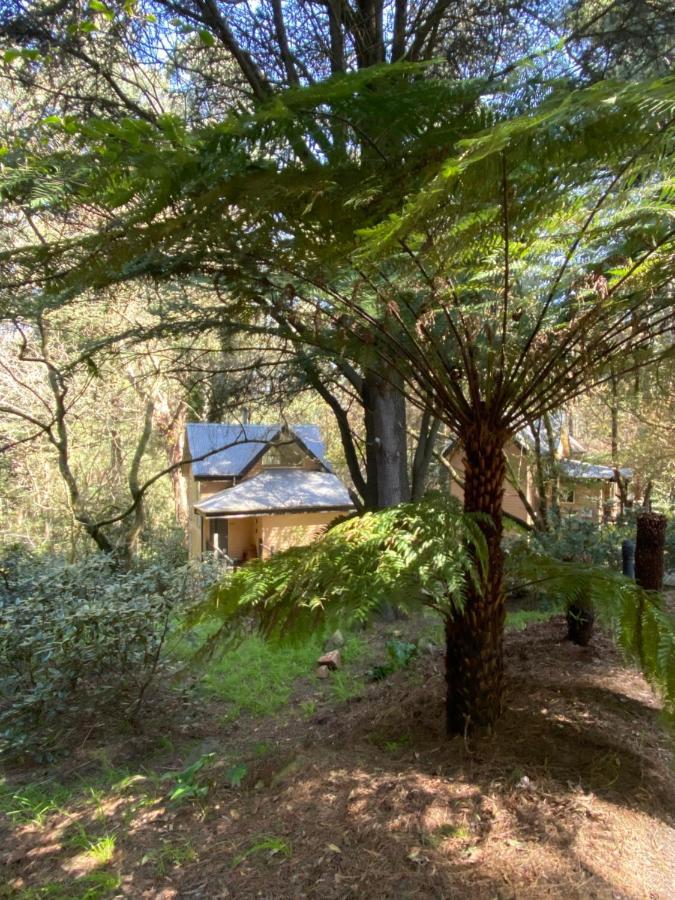 Lochiel Luxury Accommodation Olinda Εξωτερικό φωτογραφία